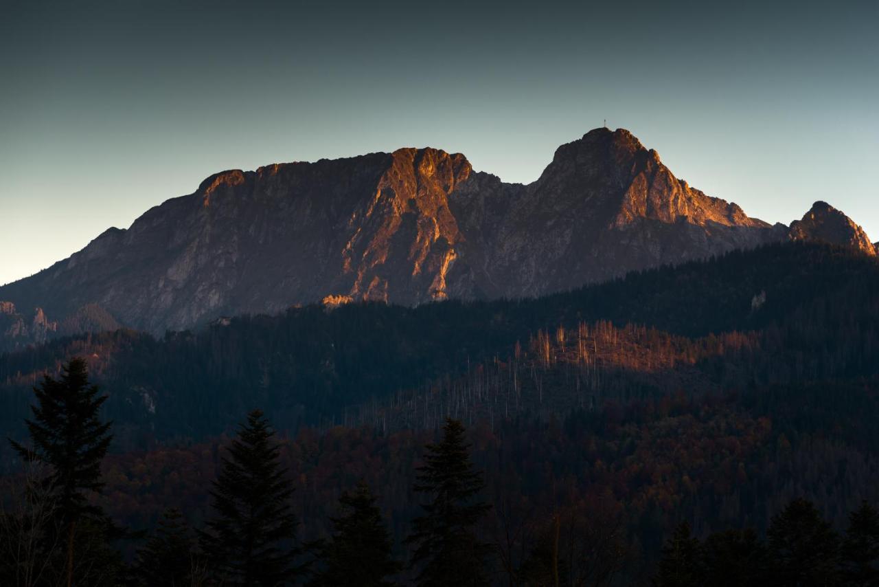 Goralska Rezydencja Aparthotel กอสเชียลิสกอ ภายนอก รูปภาพ